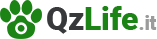 qzlife.it logo